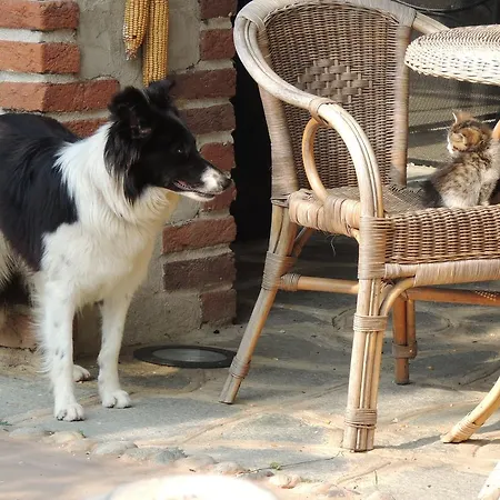 Séjour à la ferme Cascina La Commenda