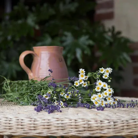 Agroturismo Cascina La Commenda *
